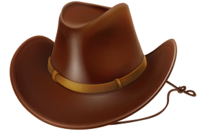 a cowboy hat